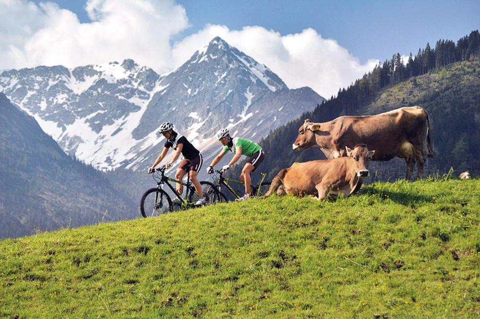Alpin Lodges - Moderne Appartements Mit Zugang Zu 3000 Qm Spa Panoramahotel Oberjoch Bad Hindelang Esterno foto